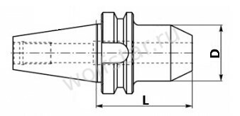 Оправка c боковым креплением Weldon BT40-SLN06-50